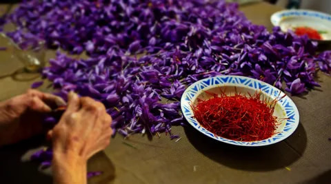 تصویر 3 از فروش زعفران سحر خیز + قیمت خرید به صرفه